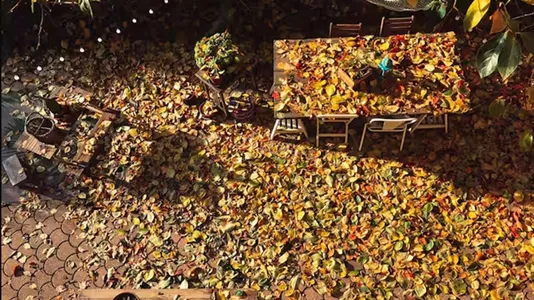 Apartments in Turin - photo 4