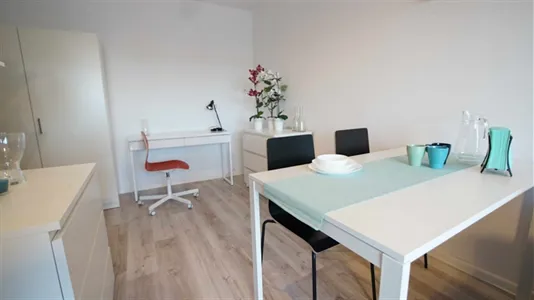 Apartments in Łódź - photo 7