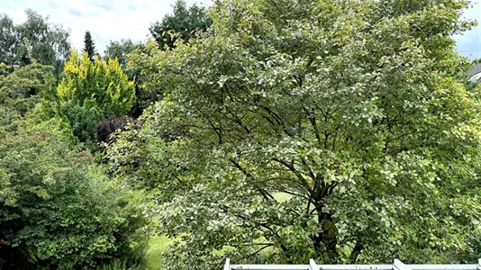 Rooms in Hamburg Wandsbek - photo 9