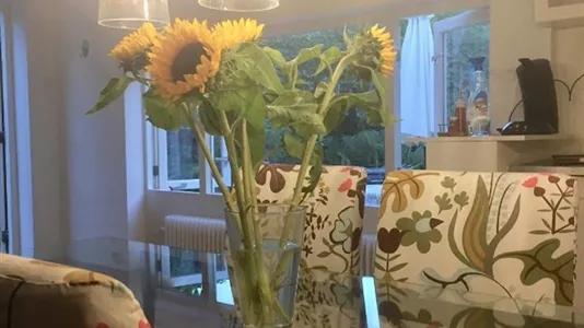 Apartments in Nijmegen - photo 4