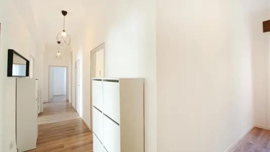 Rooms in Modena - photo 9