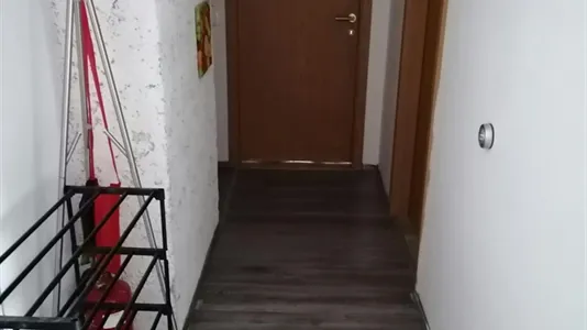 Rooms in Besnica - photo 5