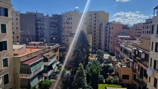 Rooms in Roma Municipio VIII – Appia Antica - photo 9