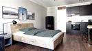 Apartment for rent, Berlin Mitte, Berlin, &lt;span class=&quot;blurred street&quot; onclick=&quot;ProcessAdRequest(7706117)&quot;&gt;&lt;span class=&quot;hint&quot;&gt;See streetname&lt;/span&gt;[xxxxxxxxxxxxx]&lt;/span&gt;