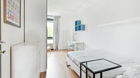 Rooms in Milano Zona 3 - Porta Venezia, Città Studi, Lambrate - photo 2