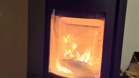 Houses in Rhein-Neckar-Kreis - photo 4