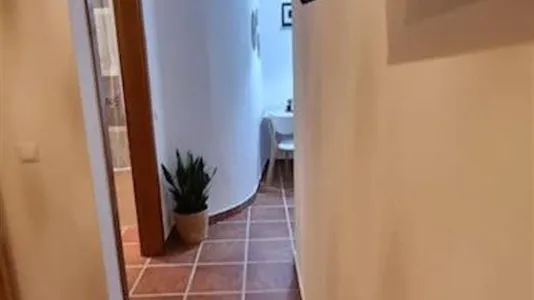 Apartments in Alter do Chão - photo 7