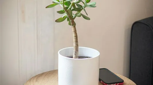 Apartments in Budapest Erzsébetváros - photo 5