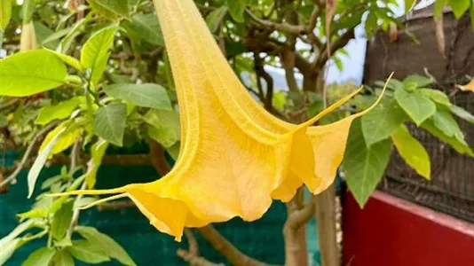 Houses in Vigo - photo 8