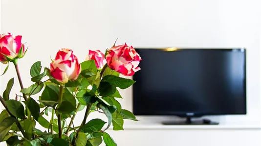 Apartments in Vienna Brigittenau - photo 6