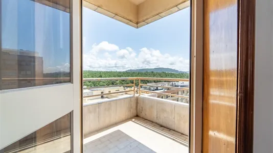 Houses in Viana do Castelo - photo 5