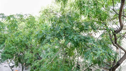 Apartments in Barcelona Ciutat Vella - photo 6