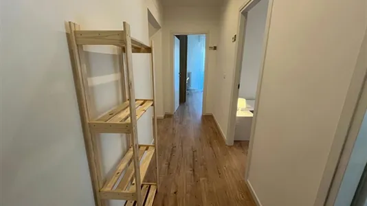 Rooms in Padua - photo 7