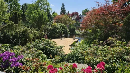 Houses in Märkisch-Oderland - photo 4
