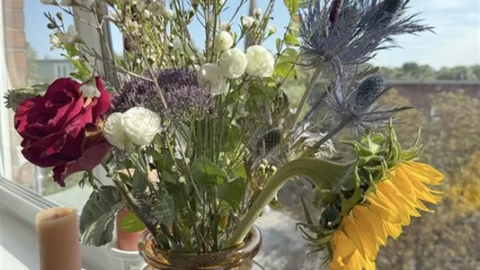 Apartments in Hamburg Nord - photo 13