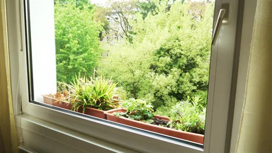 Rooms in Vienna Döbling - photo 4