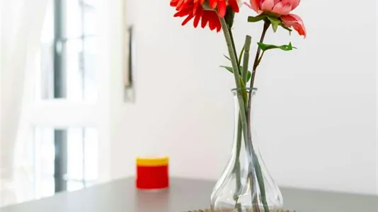 Rooms in Milano Zona 2 - Stazione Centrale, Gorla, Turro, Greco, Crescenzago - photo 10