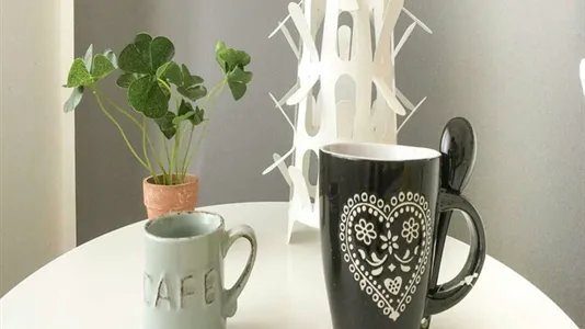 Rooms in Milano Zona 8 - Fiera, Gallaratese, Quarto Oggiaro - photo 5