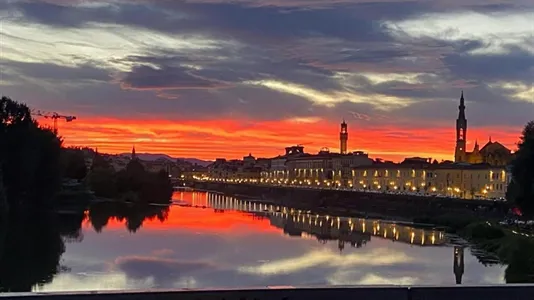 Rooms in Florence - photo 7