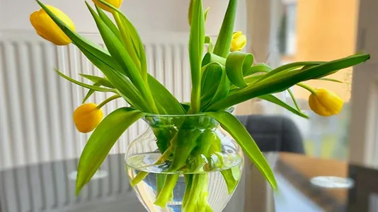 Apartments in Dachau - photo 6