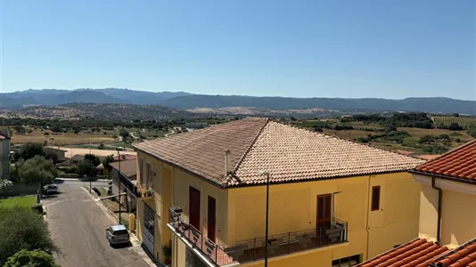 Apartments in Berchidda - photo 9