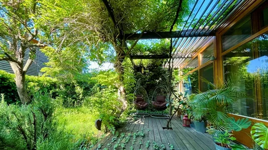 Rooms in Maria Enzersdorf - photo 7