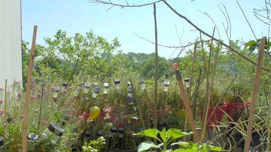 Apartments in Mainz - photo 8