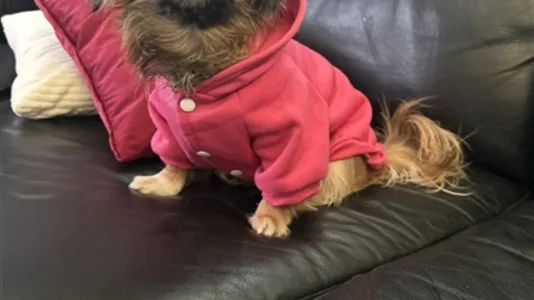 Apartments in Västerås - photo 10