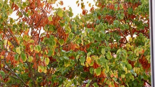 Rooms in Location is not specified - photo 10