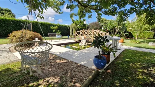 Houses in Pombal - photo 7