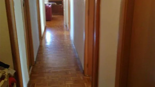 Rooms in Murcia - photo 10