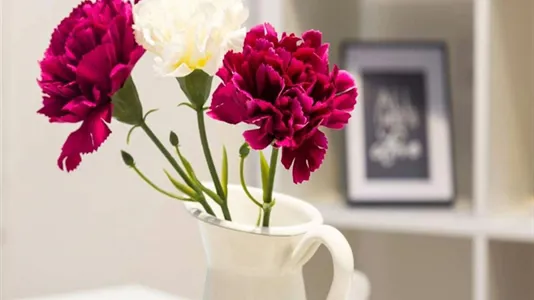 Rooms in Milano Zona 2 - Stazione Centrale, Gorla, Turro, Greco, Crescenzago - photo 10