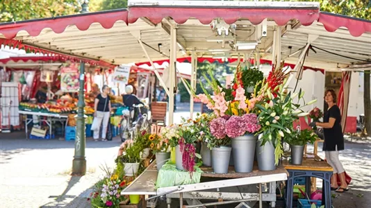 Apartments in Dusseldorf - photo 8