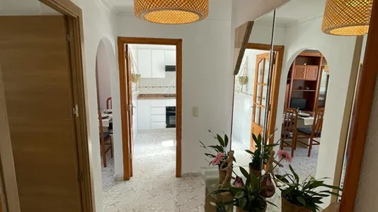 Rooms in La Torre - photo 7