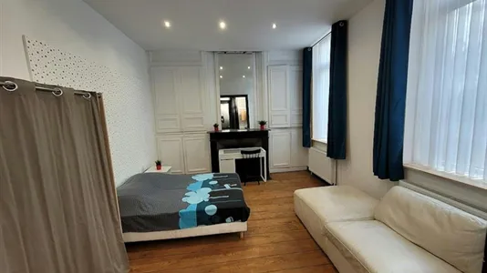 Houses in Lille - photo 4