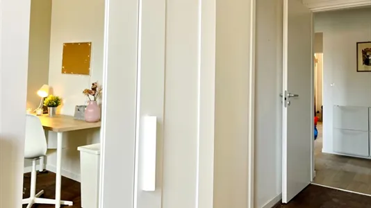 Rooms in Padua - photo 5