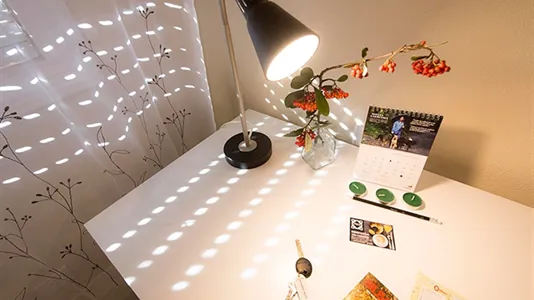 Rooms in Bilbao - photo 6