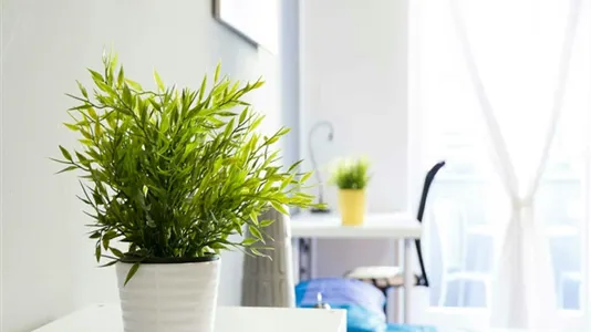 Rooms in Milano Zona 2 - Stazione Centrale, Gorla, Turro, Greco, Crescenzago - photo 7