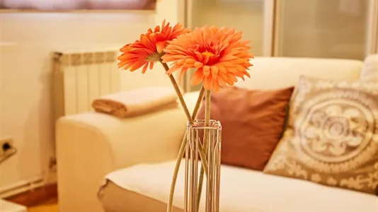 Apartments in Madrid Salamanca - photo 4