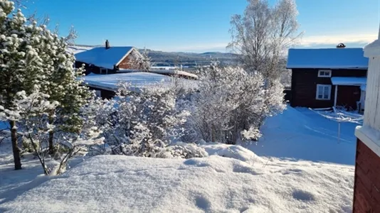 Apartments in Härjedalen - photo 11