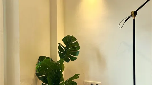 Rooms in Bilbao - photo 9