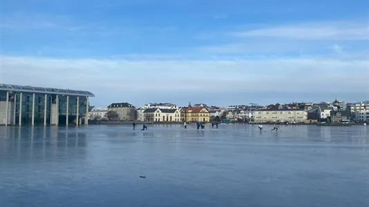 Rooms in Reykjavík Miðborg - photo 8