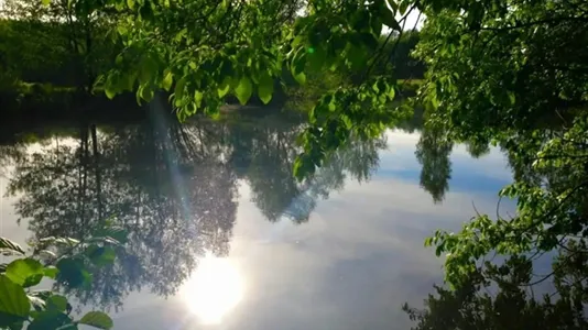 Houses in Wolsztyński - photo 8