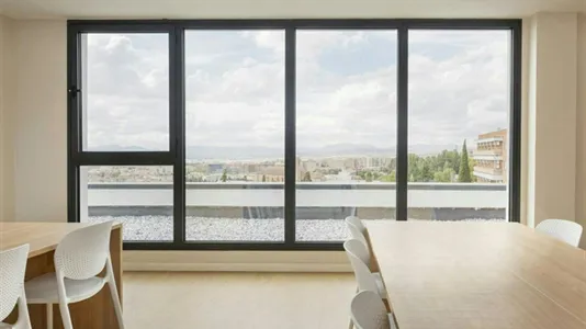 Apartments in Granada - photo 8