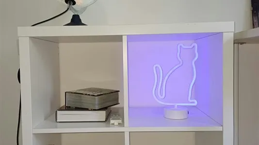 Rooms in Padua - photo 6