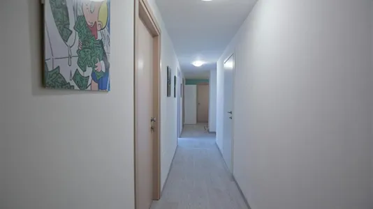 Apartments in Rimini - photo 6