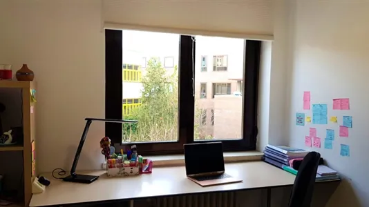 Rooms in Salamanca - photo 8