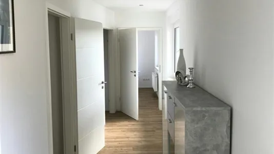 Houses in Halle (Saale) - photo 10