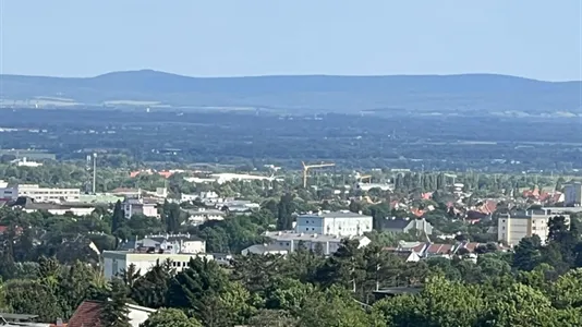 Apartments in Maria Enzersdorf - photo 10