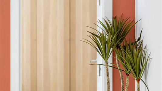 Rooms in Barcelona Ciutat Vella - photo 9